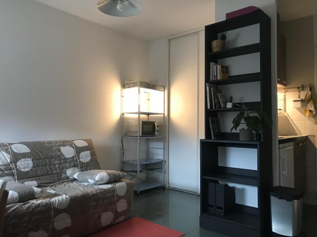 Appartement Dans Toulouse Hyper Centre Экстерьер фото